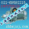 無(wú)級(jí)變速機(jī)減速機(jī)(MBW07Y0.75)
