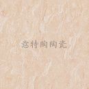 特供IPVM18018瓷磚，量大更可折上折