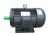 Y型臥式三相異步電動機(jī)