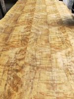 金絲楠樹瘤木皮