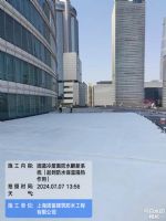 坐標(biāo)上海，滲漏水疑難雜癥堵漏補(bǔ)漏維修